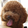 walter0427