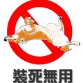 natsunoasu
