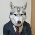 宇識主