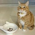 kimi8893