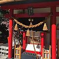 踩踩踏路尋寶