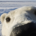 bear0912