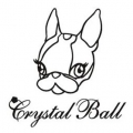 我的貴賓狗crystal ball