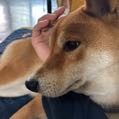 陳先生呢呢呢呢