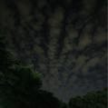 May851112