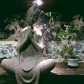 安靜觀藝