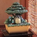 桜 の 花