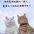 剛剛好路過