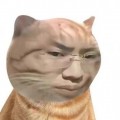 121544