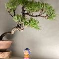 無規律