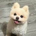 wuyyii